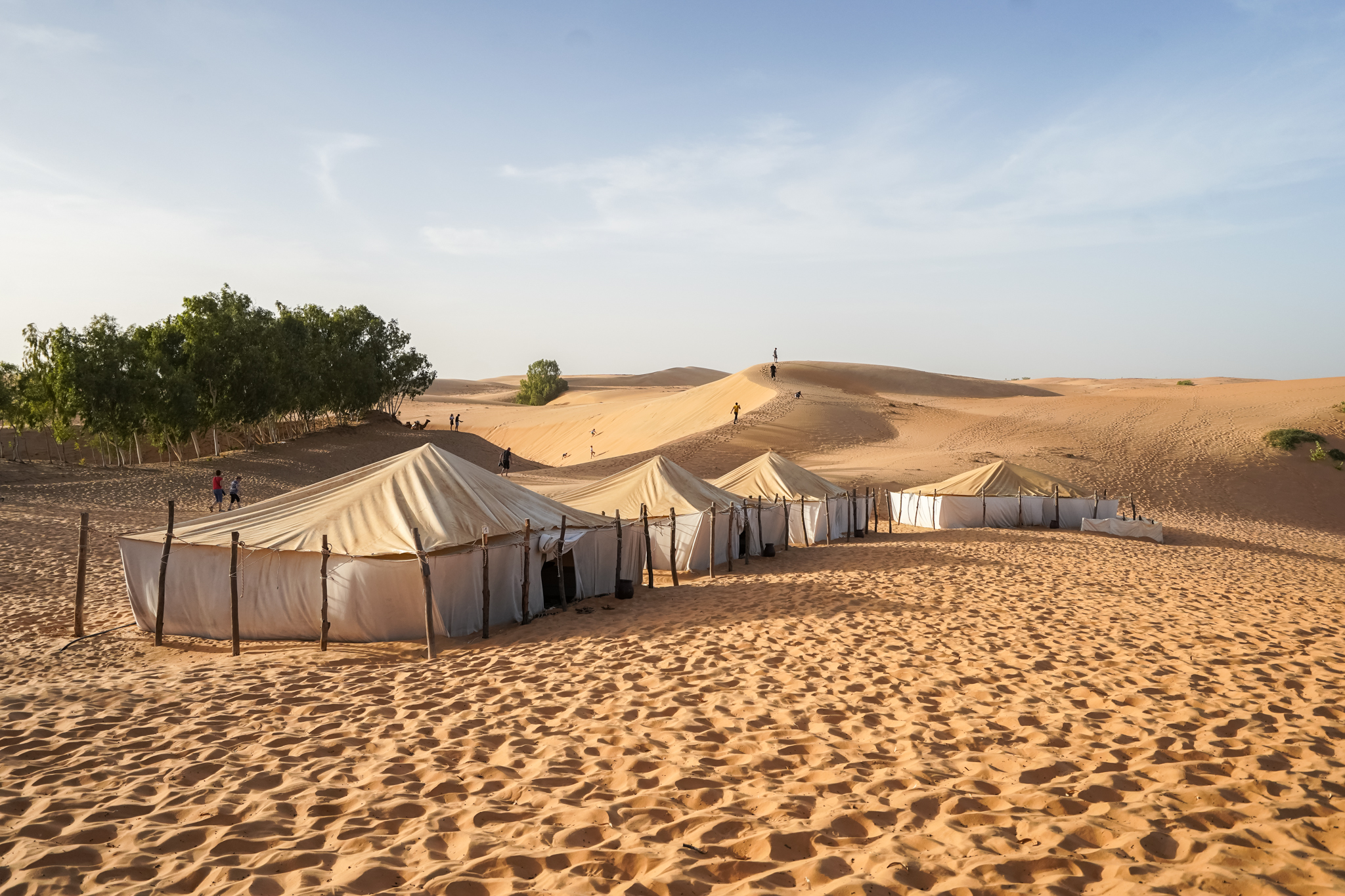 Quand Partir au Sénégal : Saisons, Régions et Meilleures Périodes