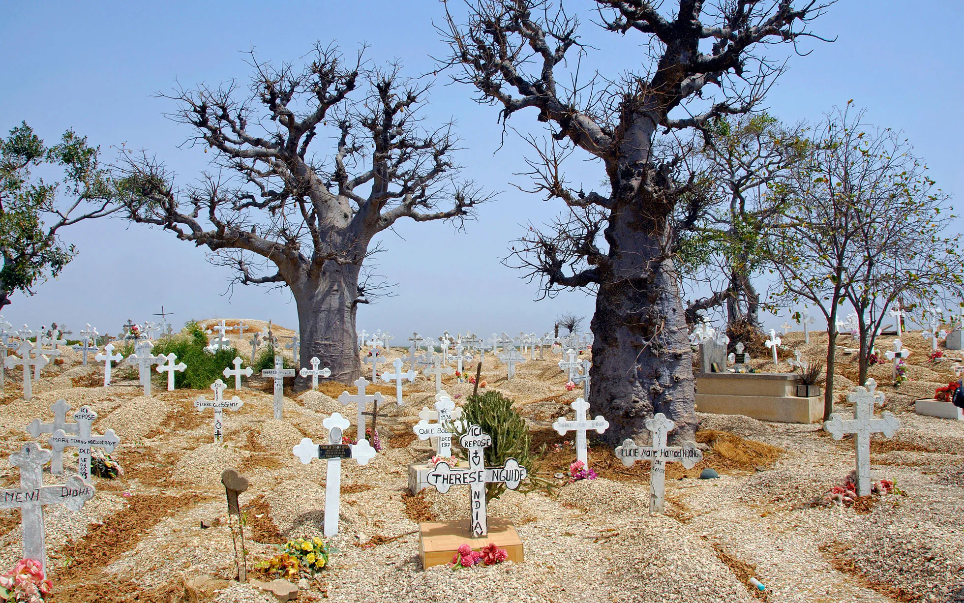 Saint-Louis et  Pays Bassari