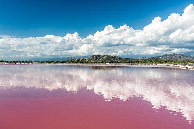 Le Lac Rose du Sénégal : Pourquoi Ce Phénomène Naturel Fascine le Monde