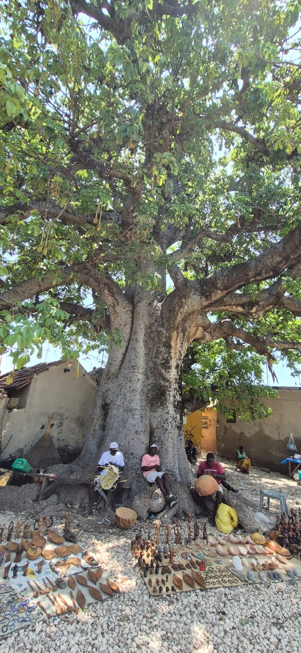 Saint-Louis et  Pays Bassari