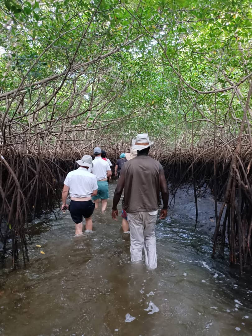 Saint-Louis et Delta du Sine Saloum