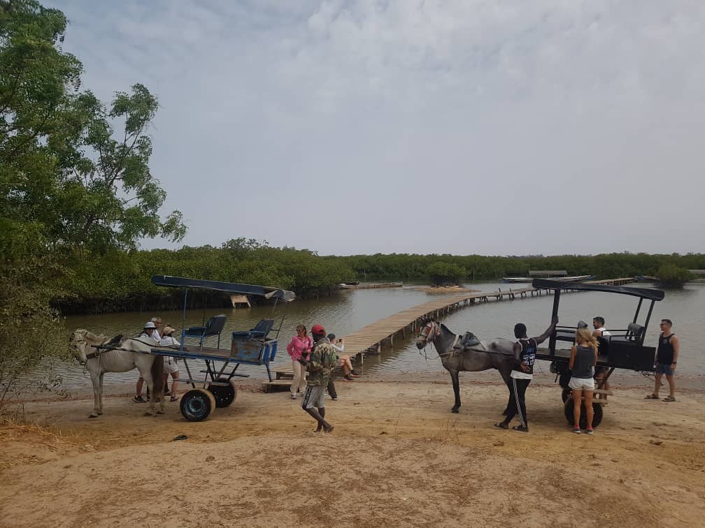 Delta du fleuve Saloum