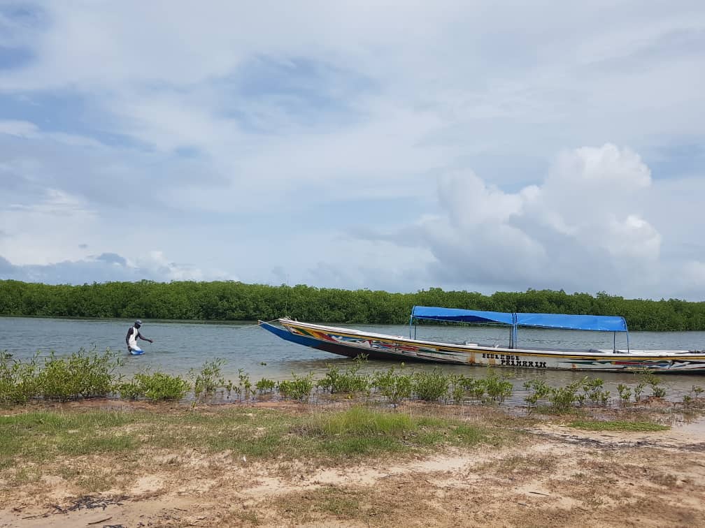Delta du fleuve Saloum