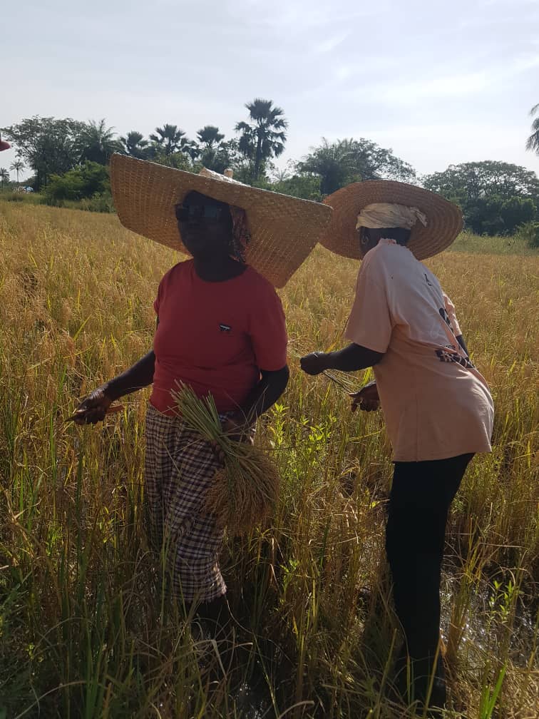 Îles de la Casamance